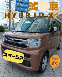 ＼試乗車のご案内／